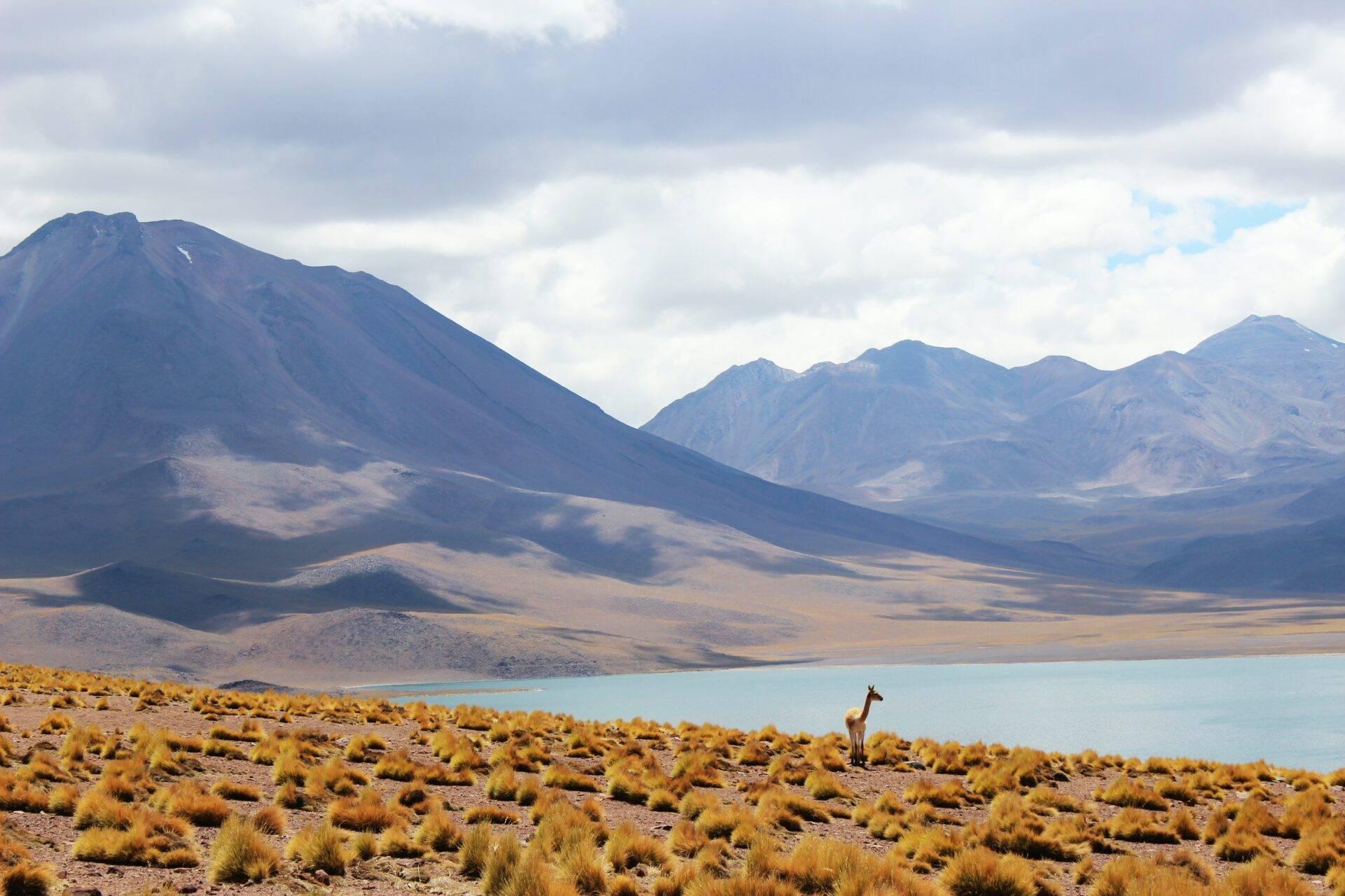 Traveller standing before the Torres del Paine in Chilean Patagonia