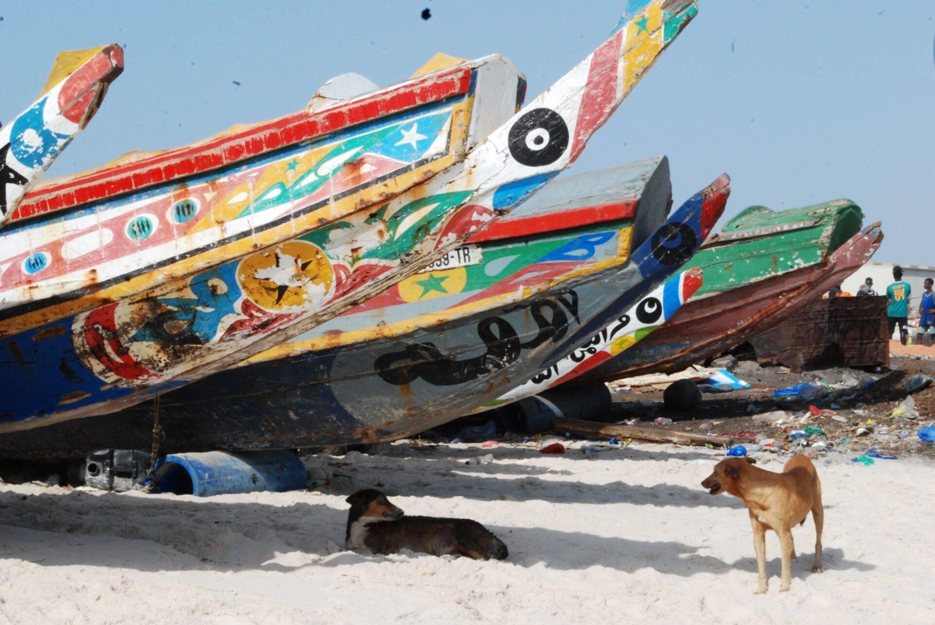 Traveller facing the Atlantic Ocean on the Senegalese coast, bag in hand