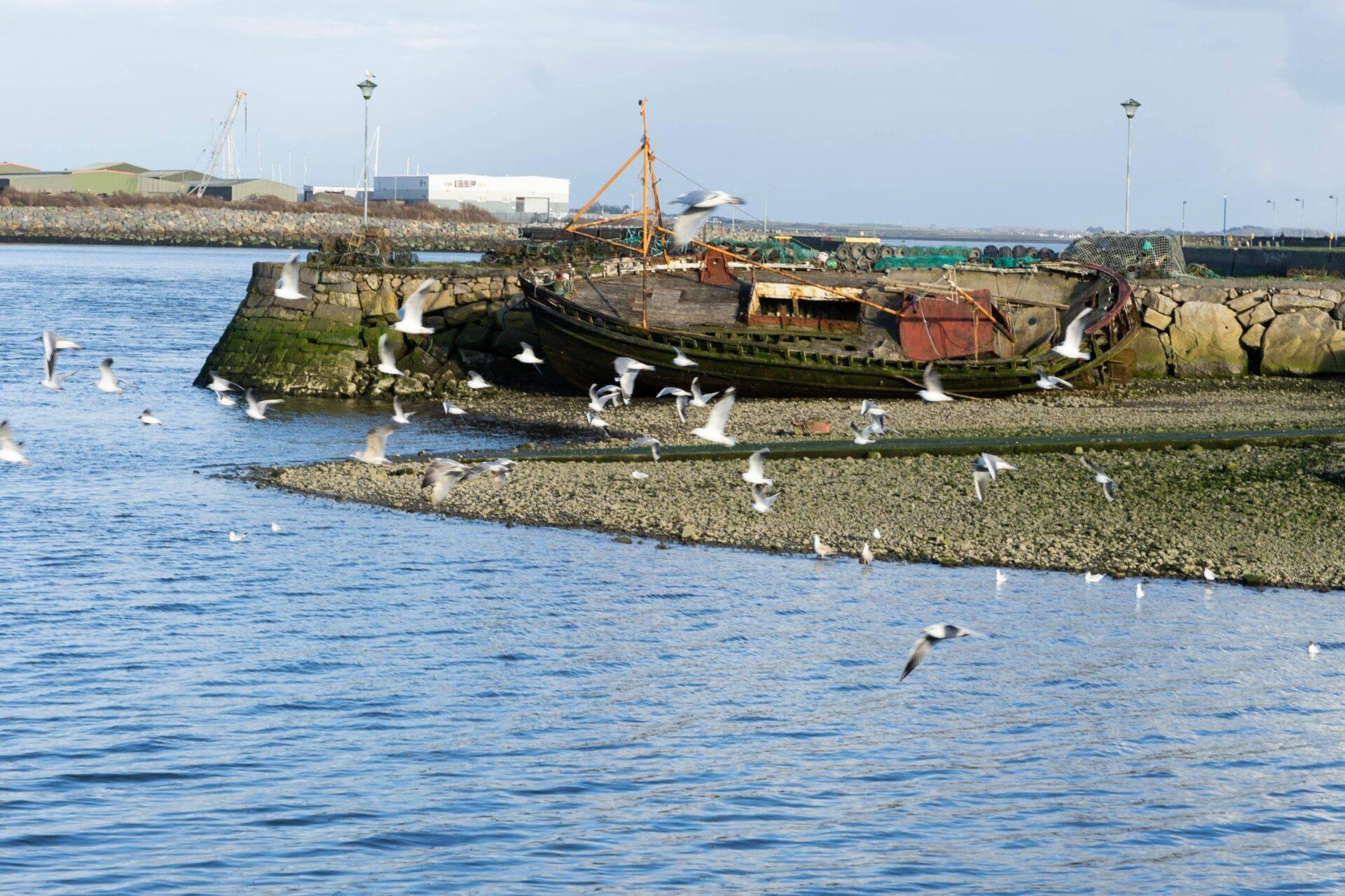 A weathered fishing boat resting on coastal rocks with seagulls in flight, at a small Irish harbour