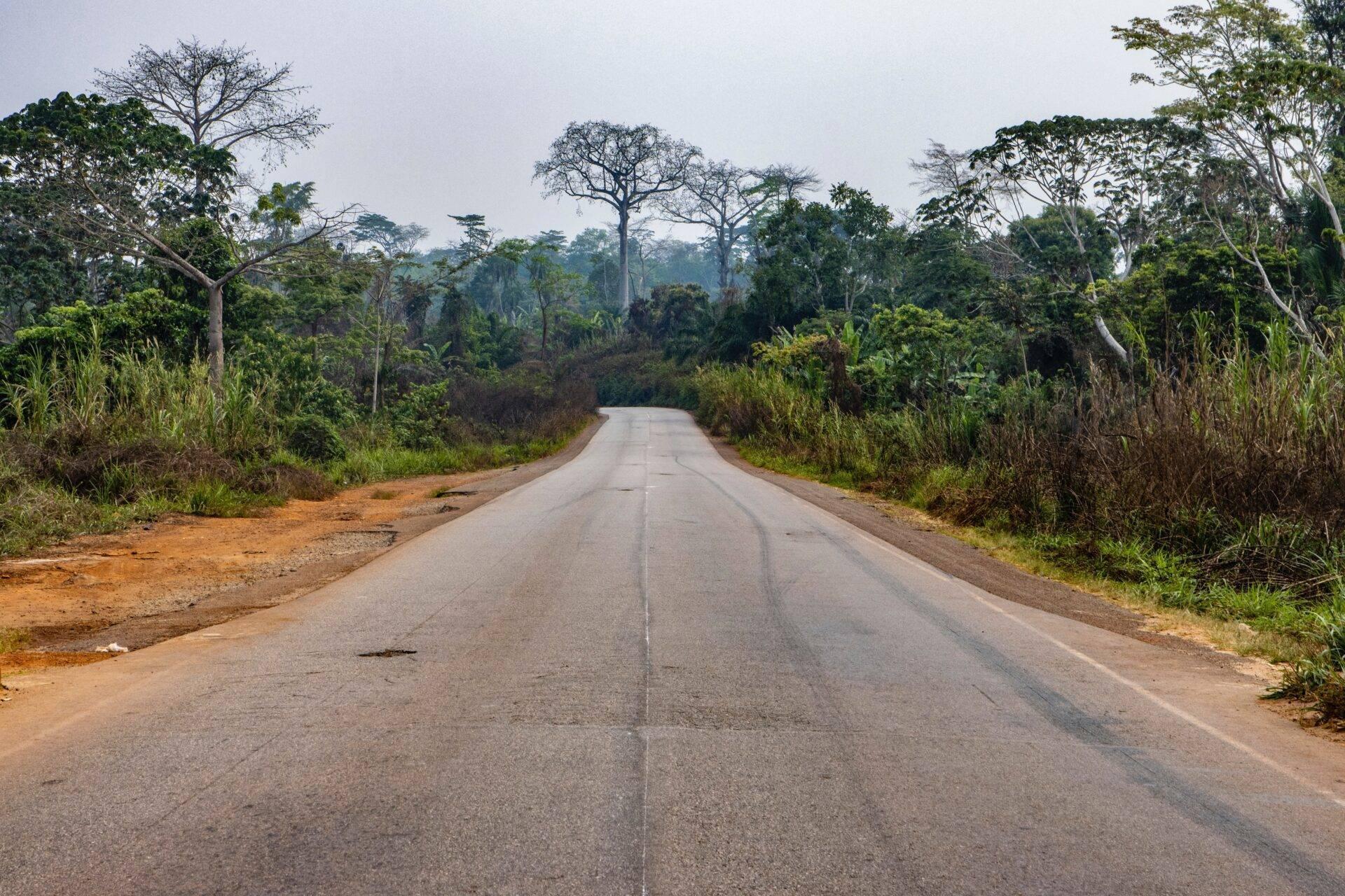 Une route asphaltée rectiligne traversant une forêt tropicale dense avec de grands arbres et végétation luxuriante