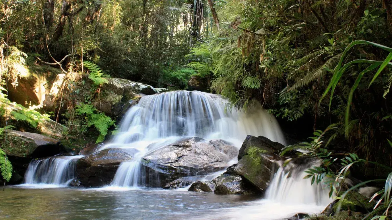 A terraced waterfall in lush tropical forest surrounded by mossy rocks and dense green vegetation