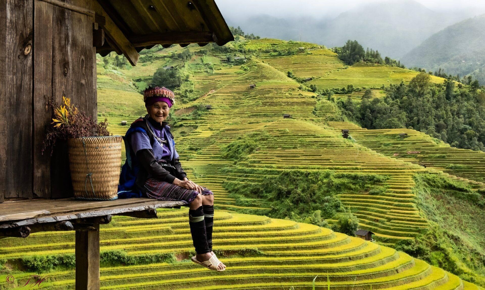Une femme âgée en tenue traditionnelle assise devant des rizières en terrasses verdoyantes en région montagneuse