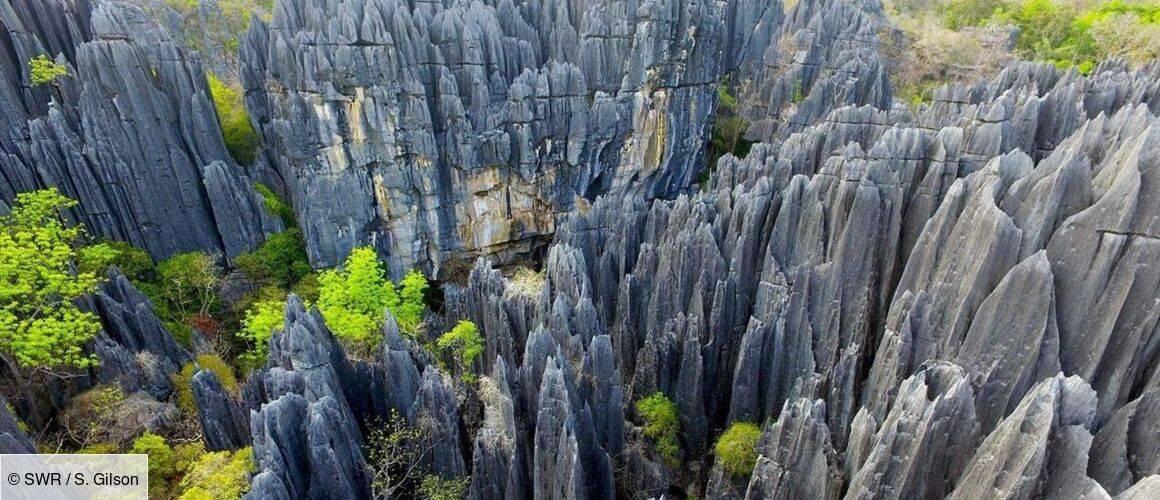 Pointed limestone rock formations of a stone forest with sparse green vegetation growing between the peaks