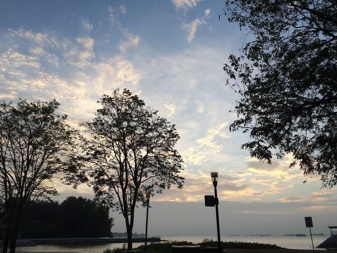 Vue sur un plan d’eau avec arbres en silhouette et ciel nuageux au crépuscule, ambiance sereine