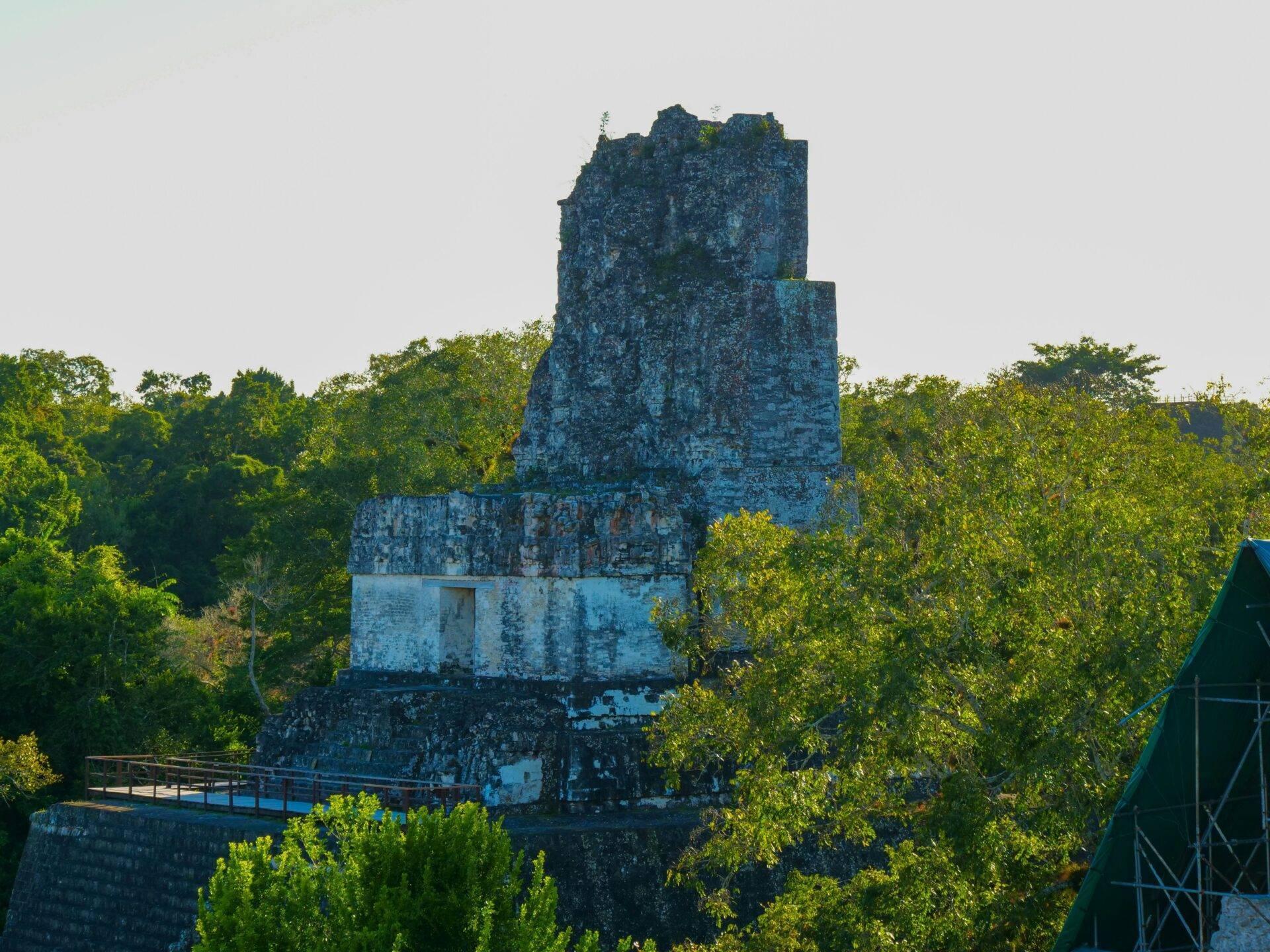 Ruines mayas en pierre blanche et grise entourées de végétation verte luxuriante en forêt tropicale