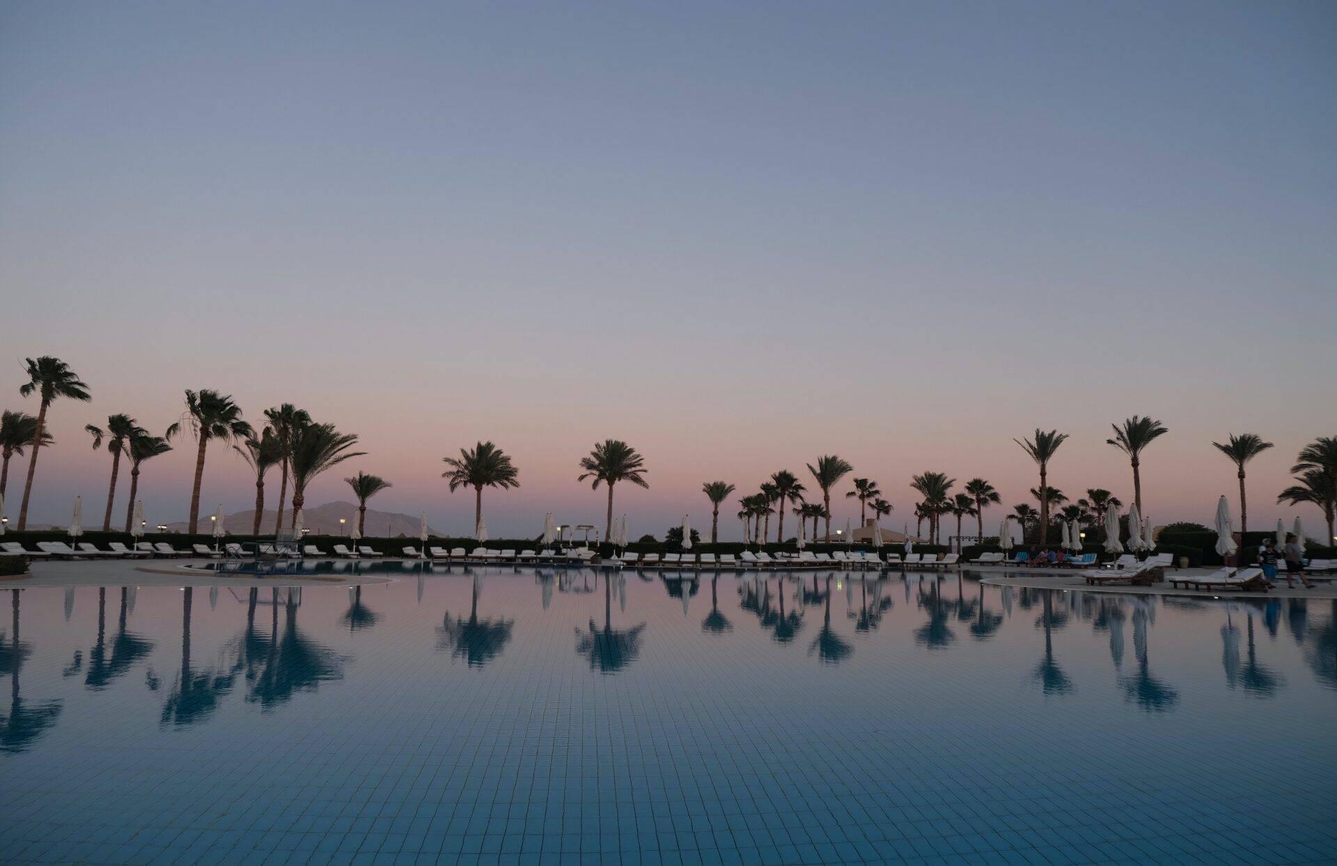 A luxury pool at sunset lined with palm trees and sun loungers in Egypt