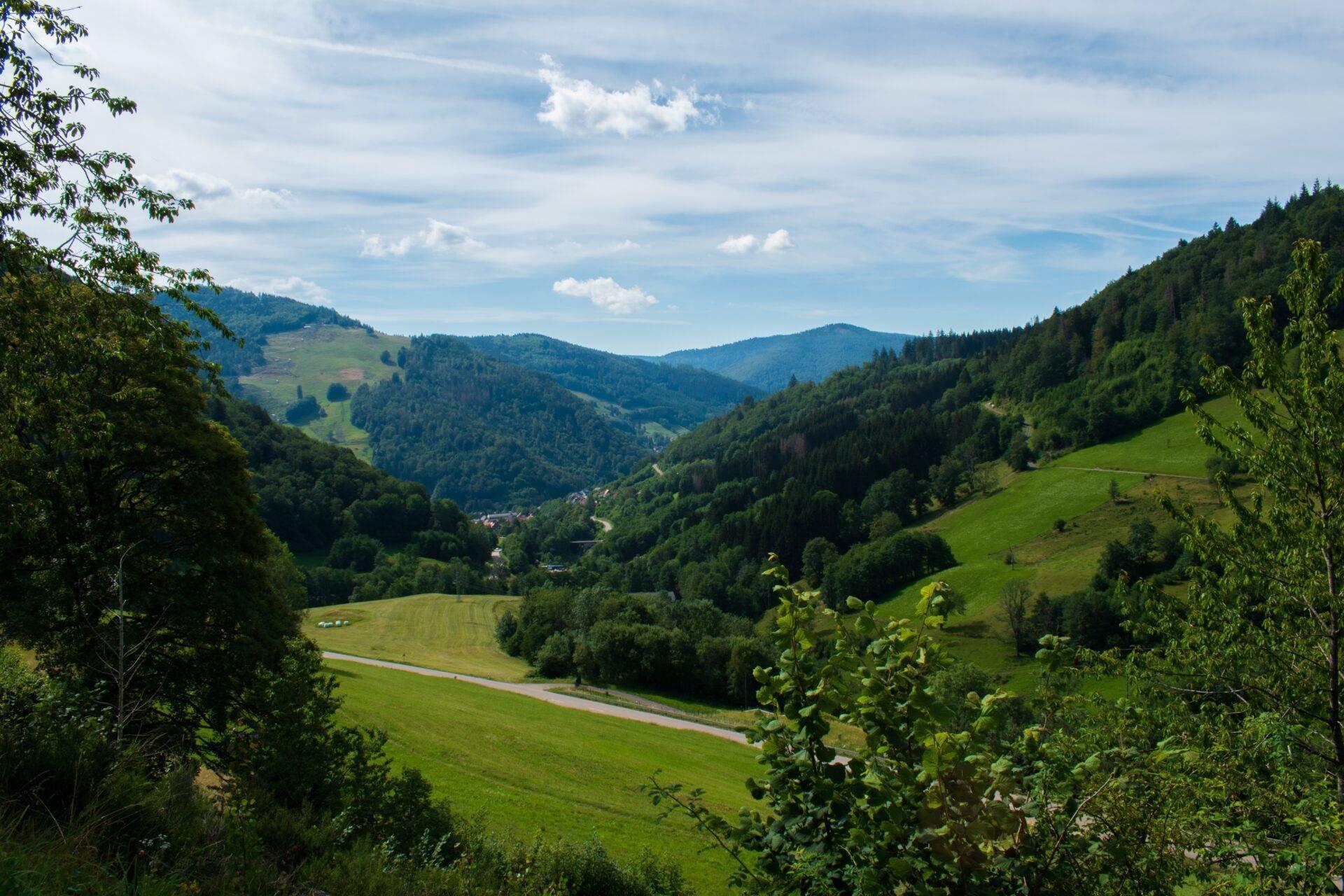 Lush green mountain valley with a winding river, fir forests and Alpine meadows under a cloudy sky