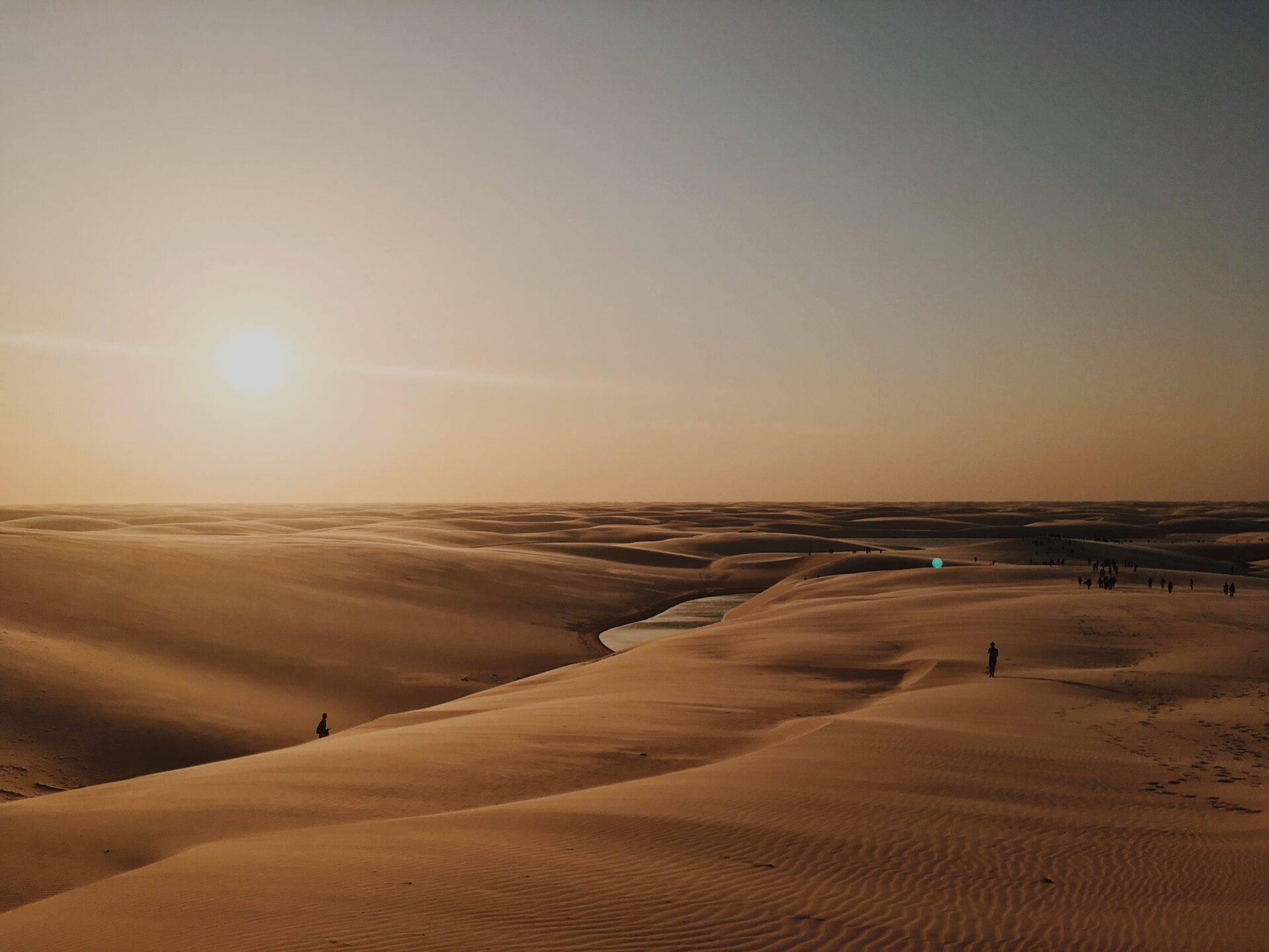 Vast white sand dune landscape with a few solitary travellers exploring the arid terrain under a hazy sky
