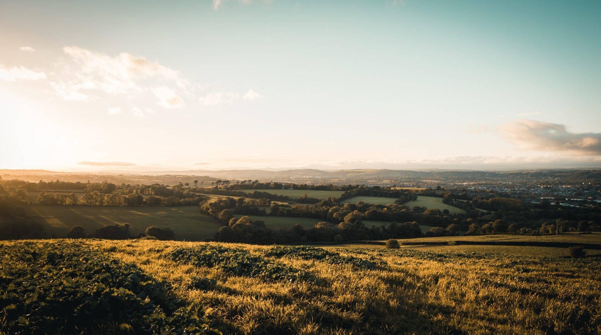 Panoramic view of a green valley with golden fields, woodland and distant hills under a clear sky