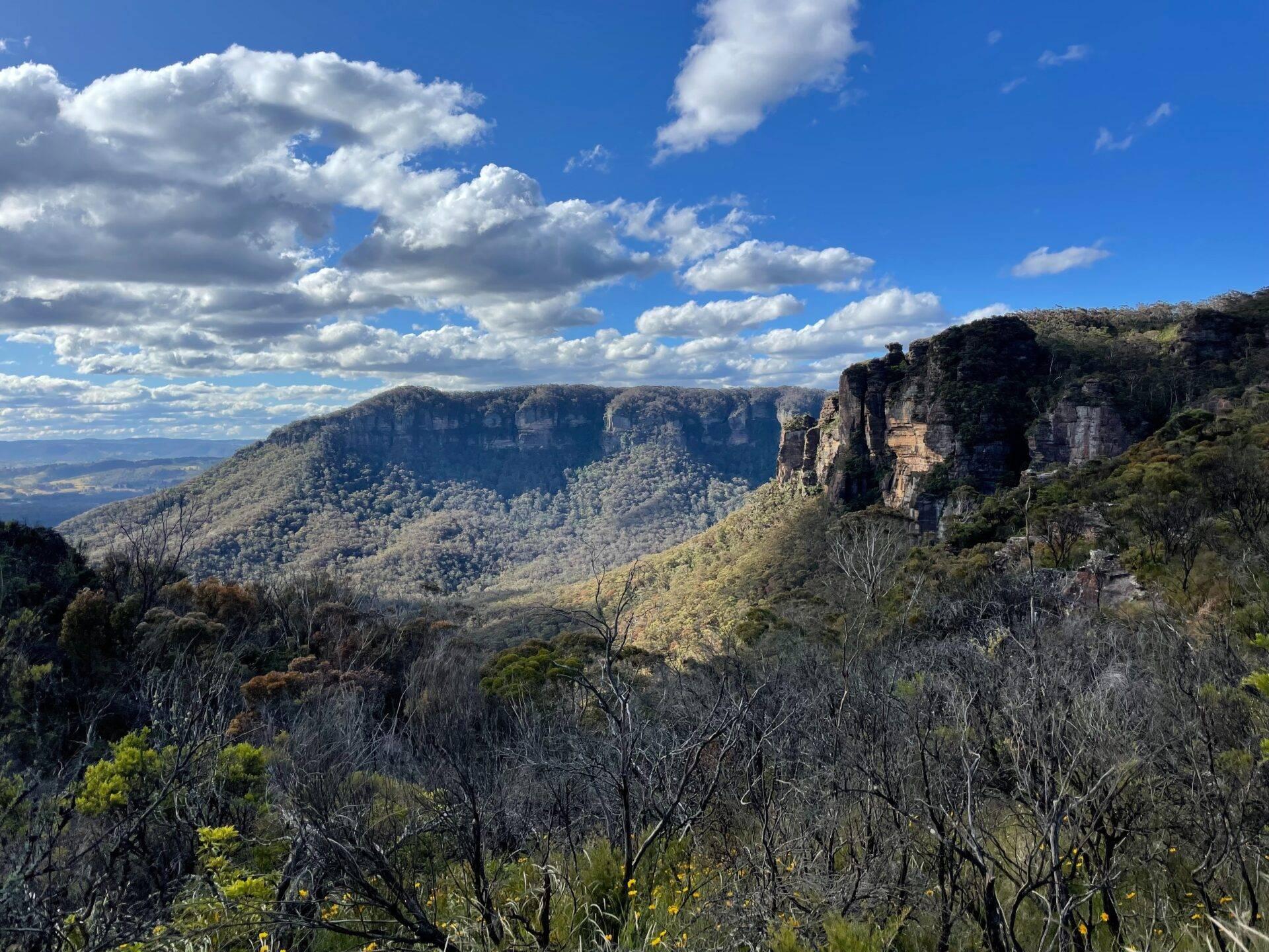 Vue panoramique d’une vallée encaissée aux falaises rocheuses majestueuses, couverte de végétation dense sous un ciel bleu dégagé