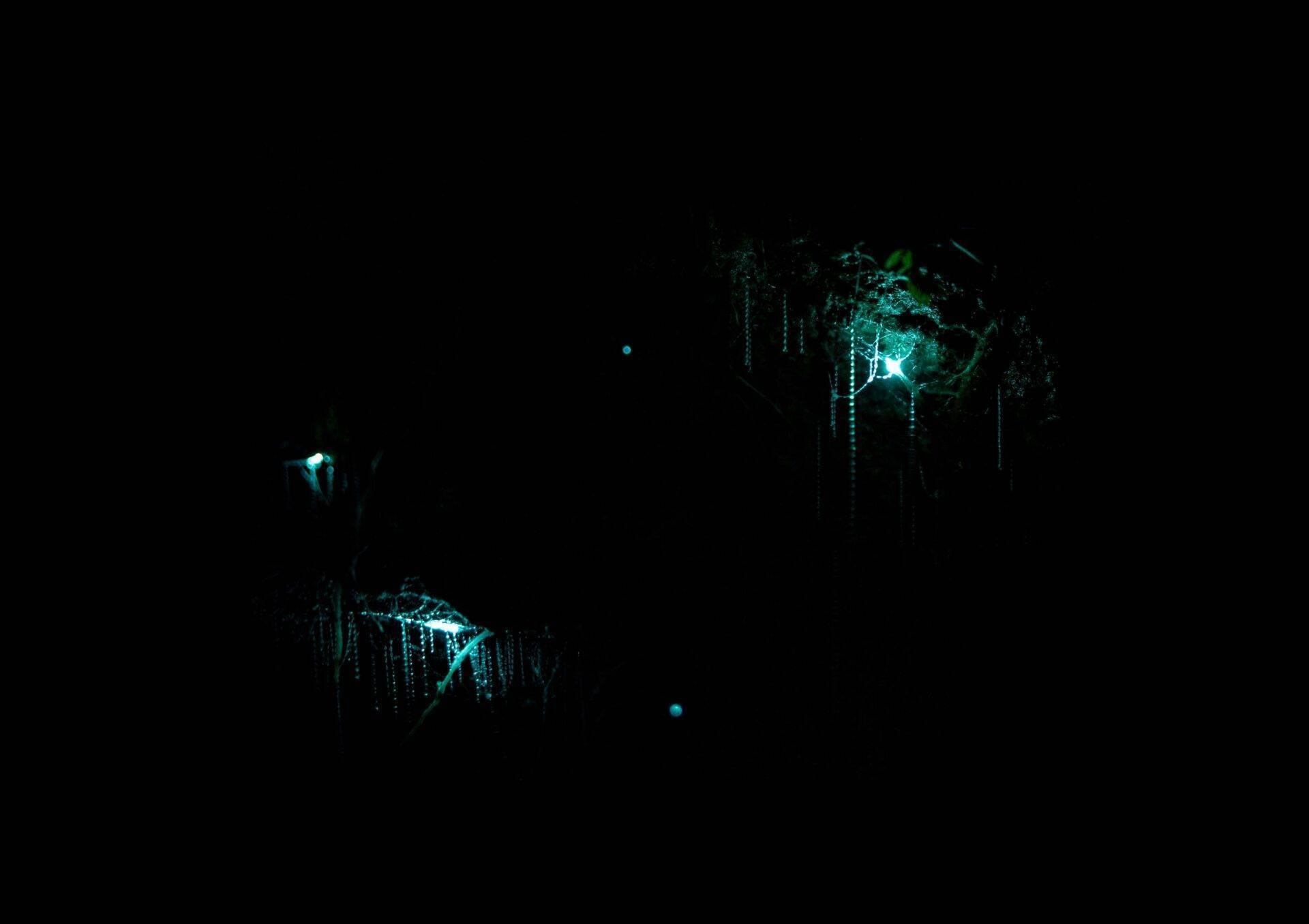 Grotte souterraine illuminée par des bioluminescences bleues-vertes et des stalactites brillantes dans l’obscurité