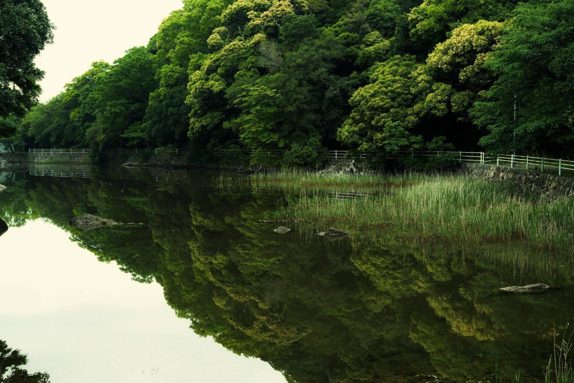 A tranquil natural landscape with a mirror-like lake surrounded by dense forest and white fencing
