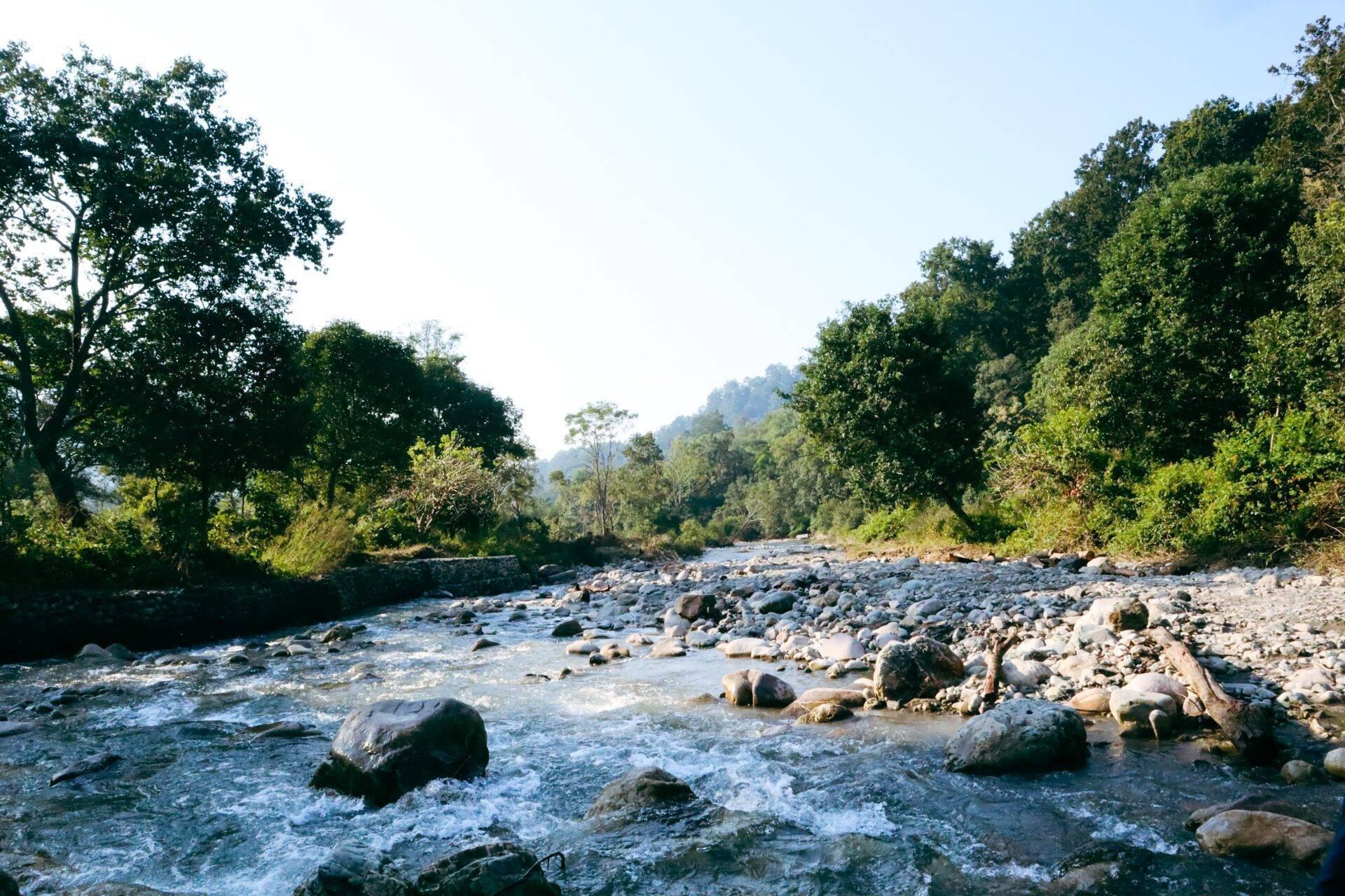 A rocky river bordered by dense tropical forest under a clear sky in a mountainous region
