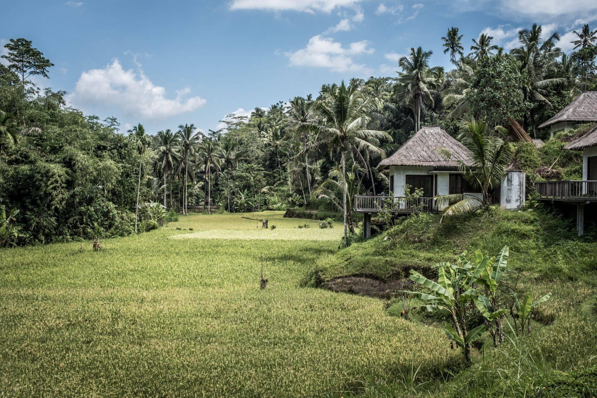 Maisons traditionnelles sur pilotis avec toit de chaume dans un paysage tropical verdoyant et rizières