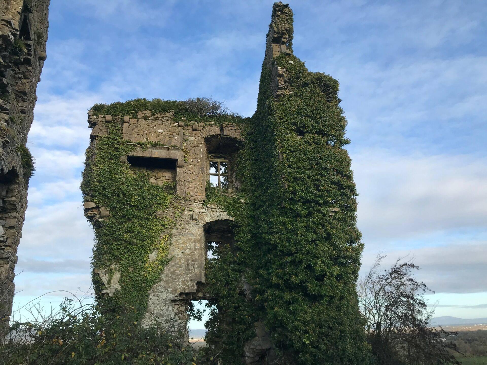 Ruins of a stone tower covered in green ivy with empty windows under a cloudy sky