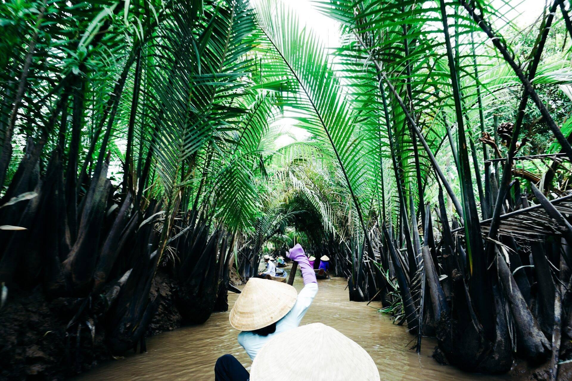 Une femme en barque navigue dans un tunnel de mangroves luxuriantes au Vietnam, entourée de végétation dense et verdoyante