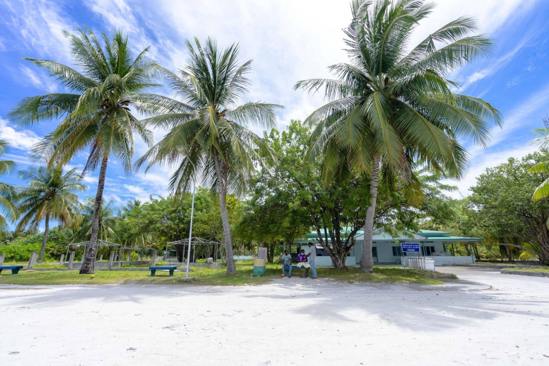 Une place publique tropicale ombragée par de grands cocotiers avec bâtiments et quelques personnes sous un ciel bleu