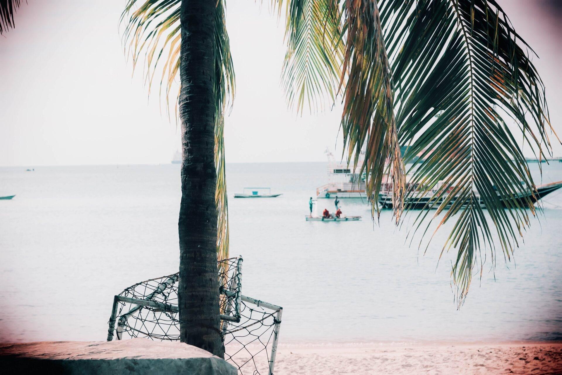 A tropical beach with a palm tree, a fishing net and traditional wooden boats on calm water
