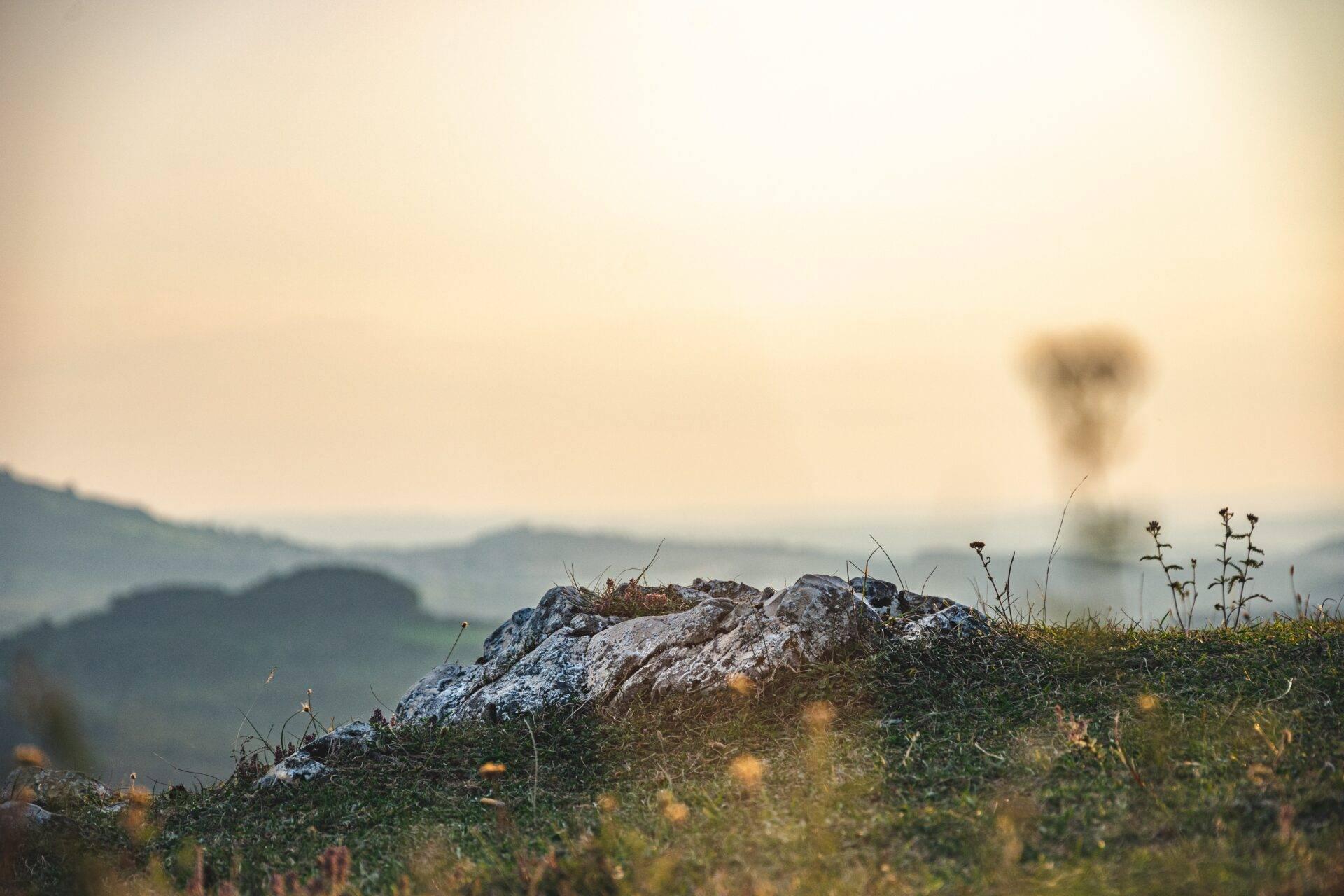 A moss-covered rock with wild vegetation overlooking wooded hills in a misty atmosphere