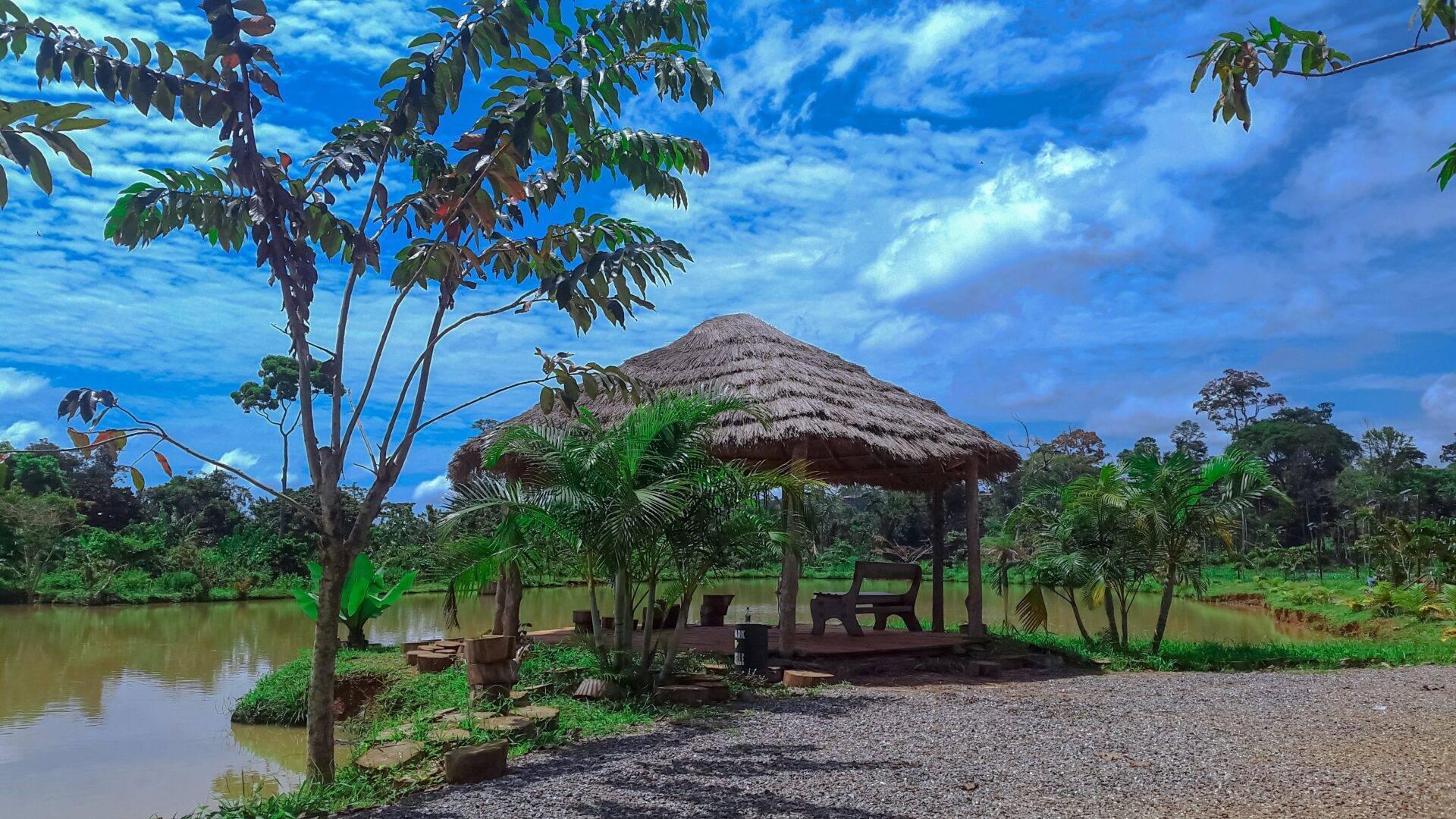 Un pavillon avec toit de chaume au bord d’une rivière dans une forêt tropicale luxuriante sous ciel bleu