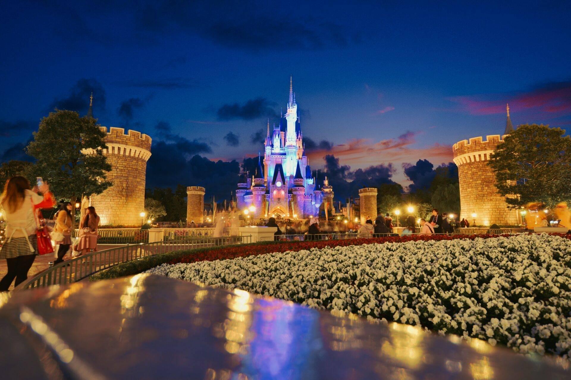 A fairy-tale castle illuminated at night with glowing towers, white flowers in the foreground and visitors admiring the view at dusk