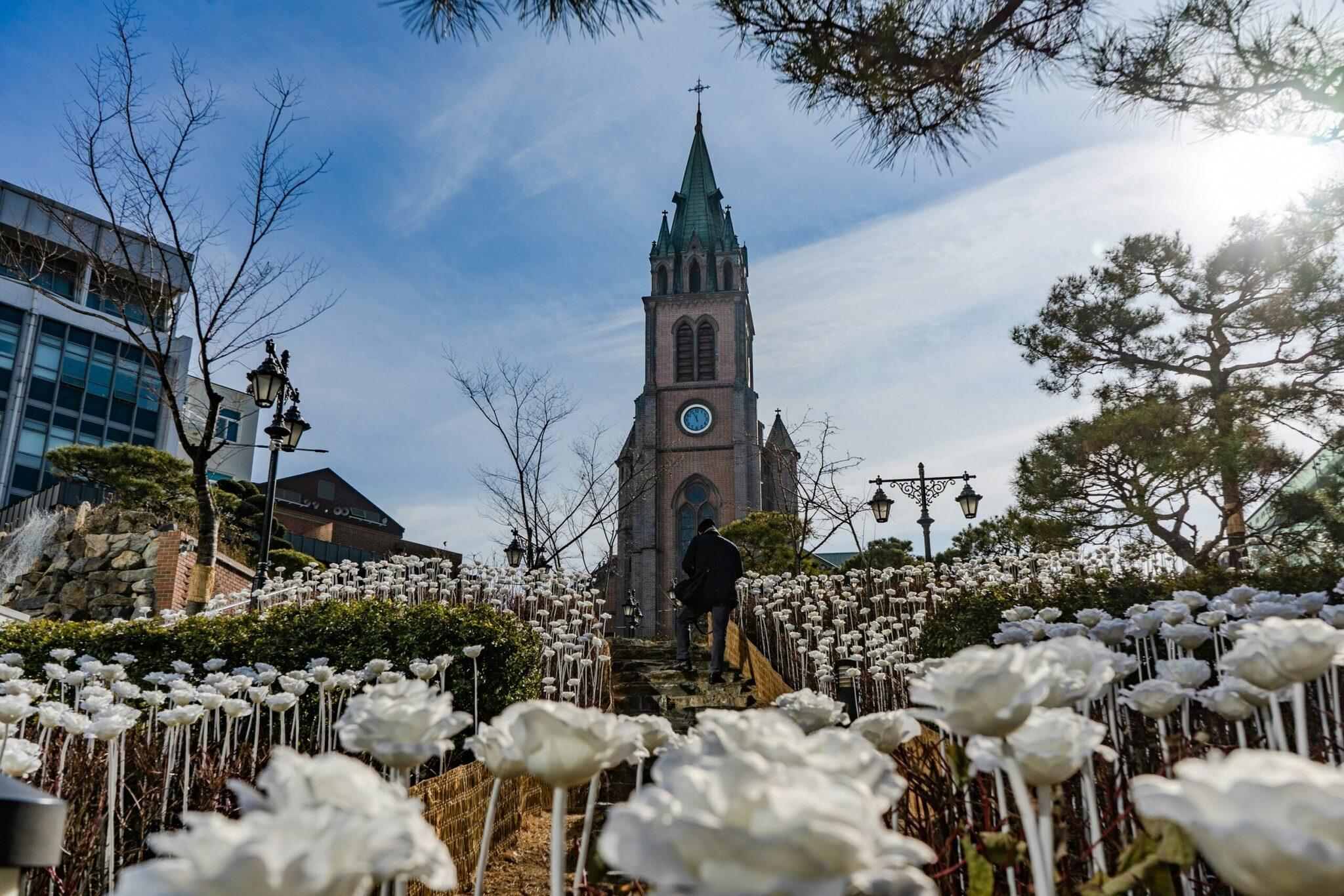 A brick church with bell tower surrounded by white flowers in an urban garden