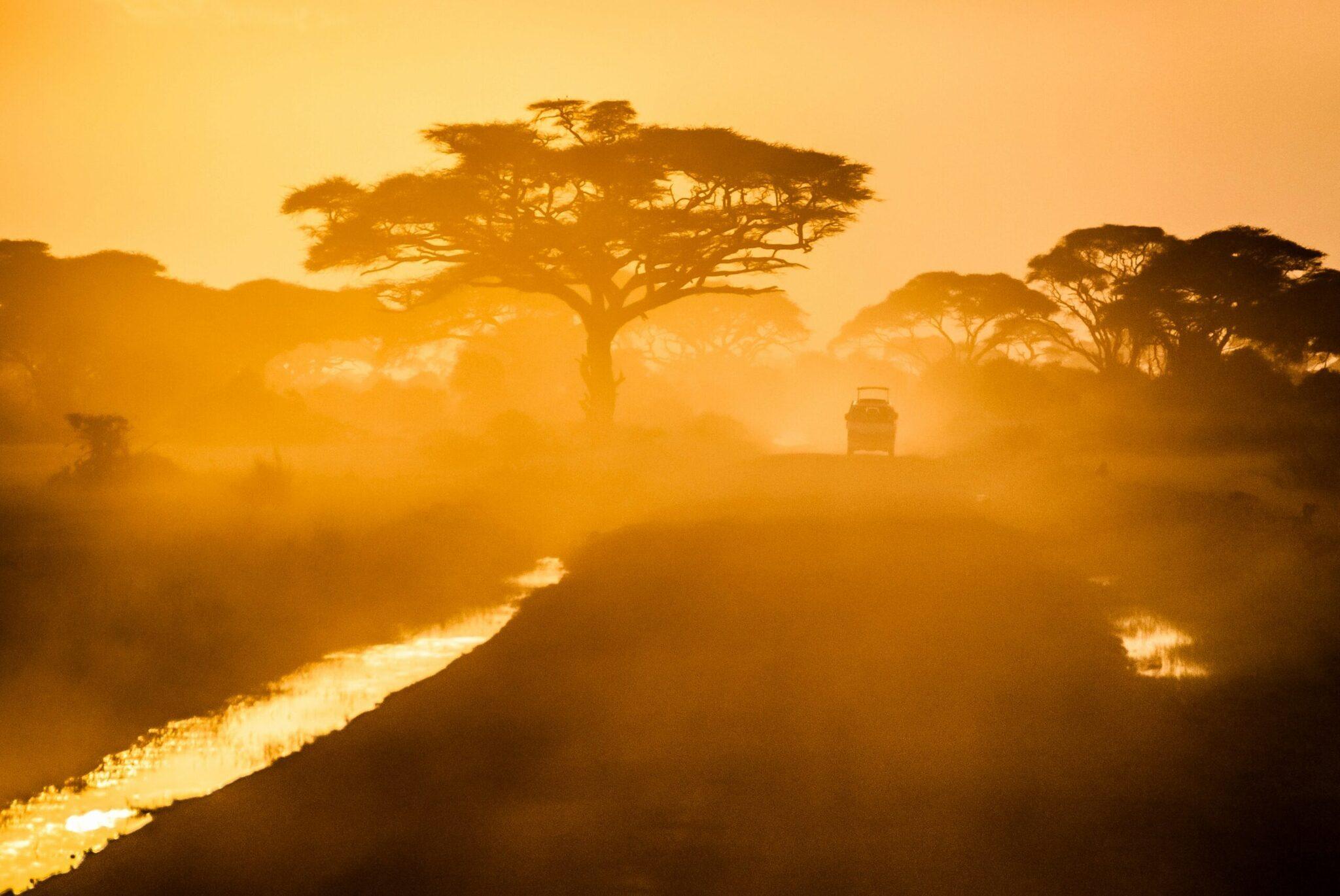 Paysage africain au coucher de soleil avec acacia caractéristique, cours d’eau et véhicule safari dans la brume dorée