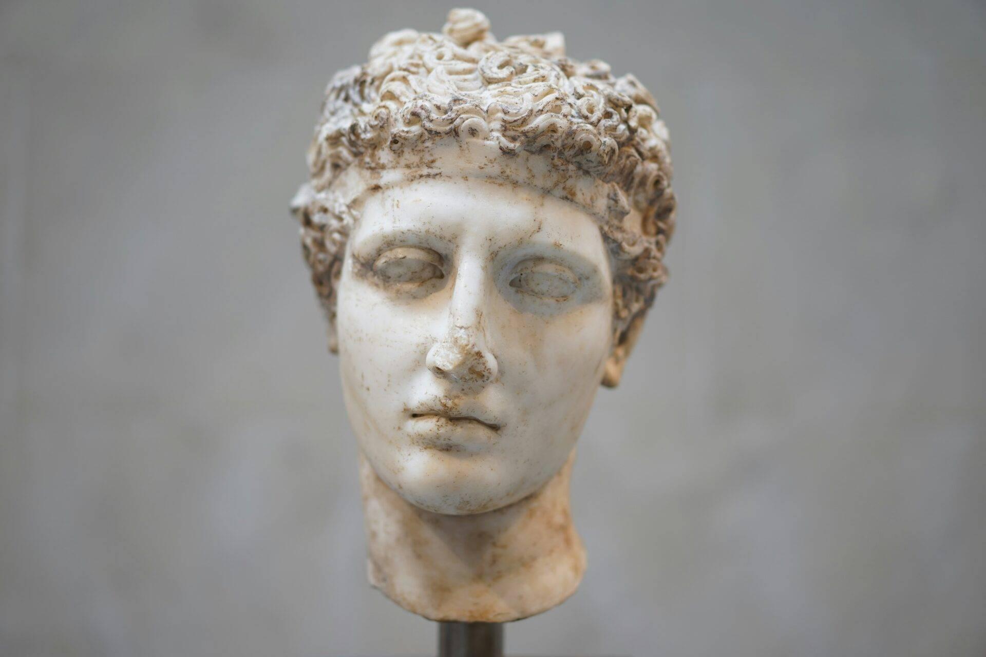 White marble bust of an ancient figure with curly hair, displayed against a neutral grey background