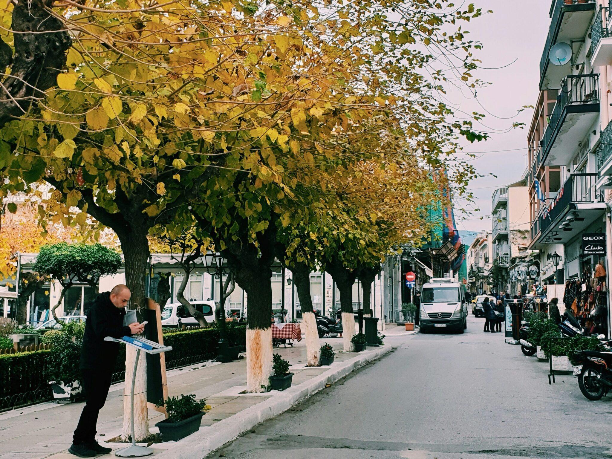 Une rue piétonne ombragée bordée d’arbres aux feuilles automnales dorées, avec commerces et façades anciennes