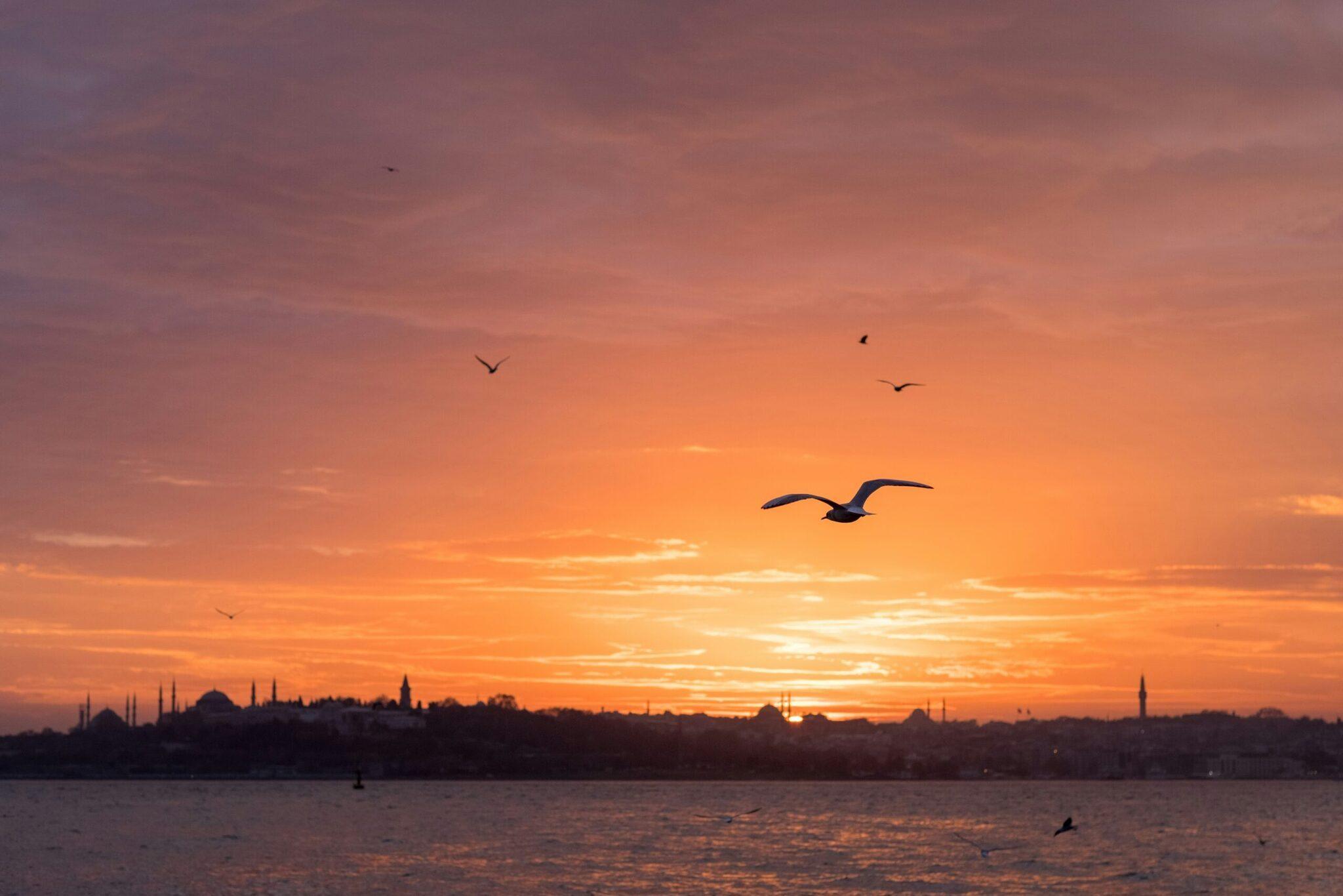 Coucher de soleil sur le Bosphore avec silhouettes de mosquées et d’églises, oiseaux en vol au-dessus de l’eau