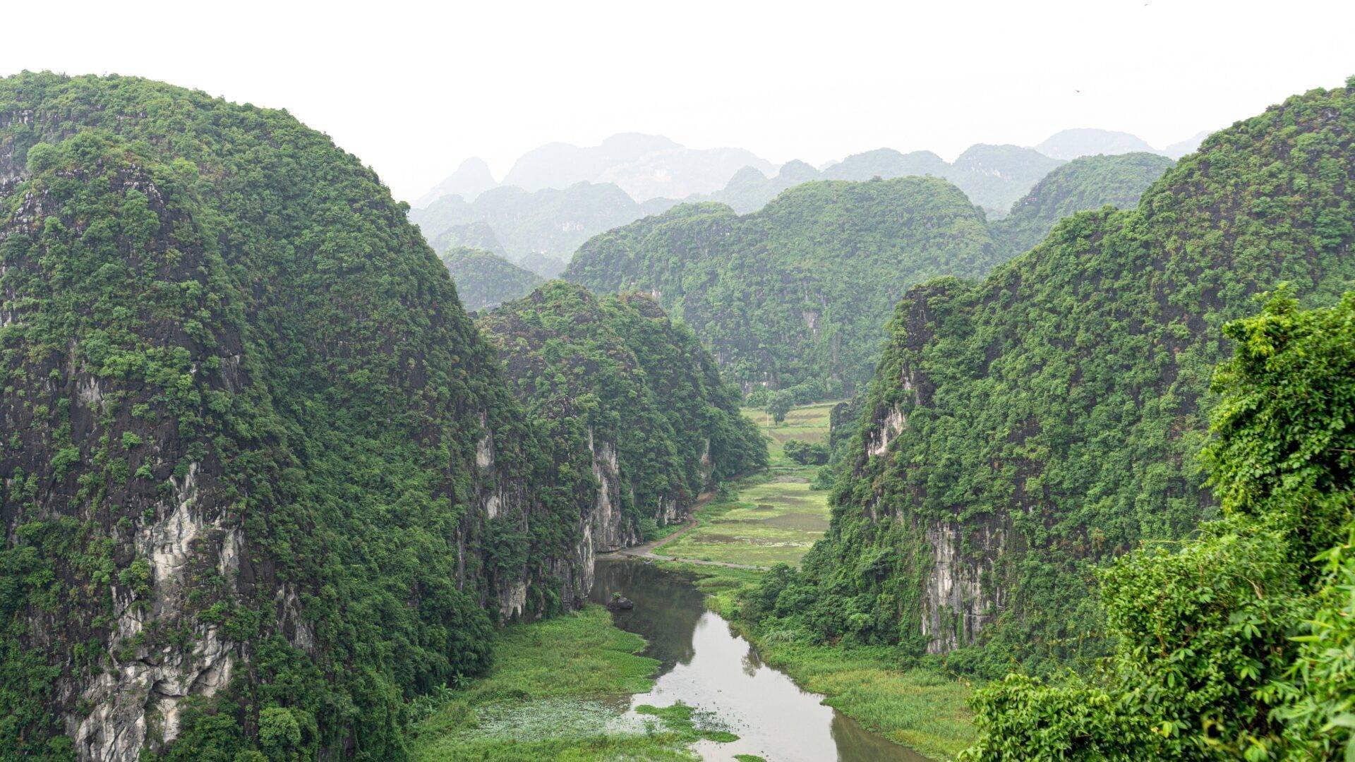 Vallée karstique avec falaises calcaires couvertes de végétation et rivière traversant un paysage montagneux verdoyant