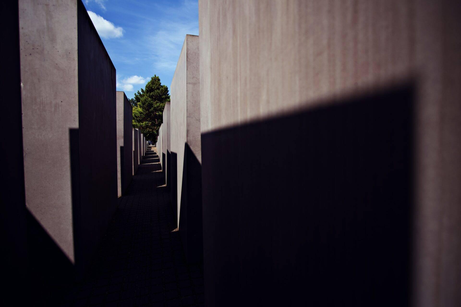 Corridor of grey concrete stelae under a blue sky, with a tree and contrasting shadows in the background