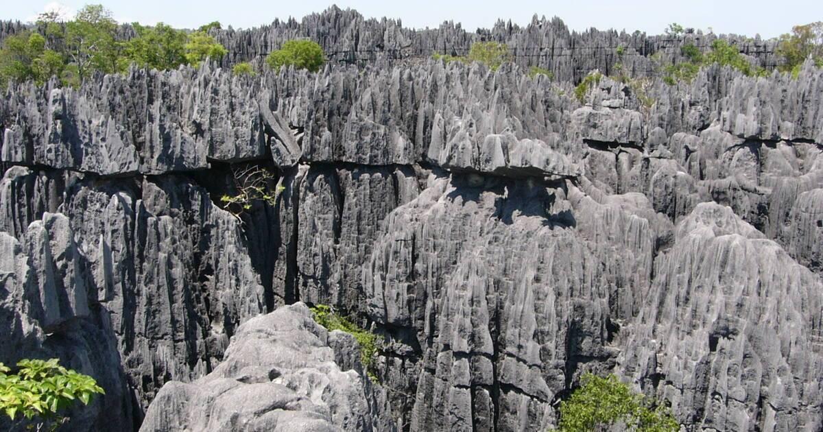 Grey limestone forest of sharp rock formations with sparse green vegetation under a clear sky