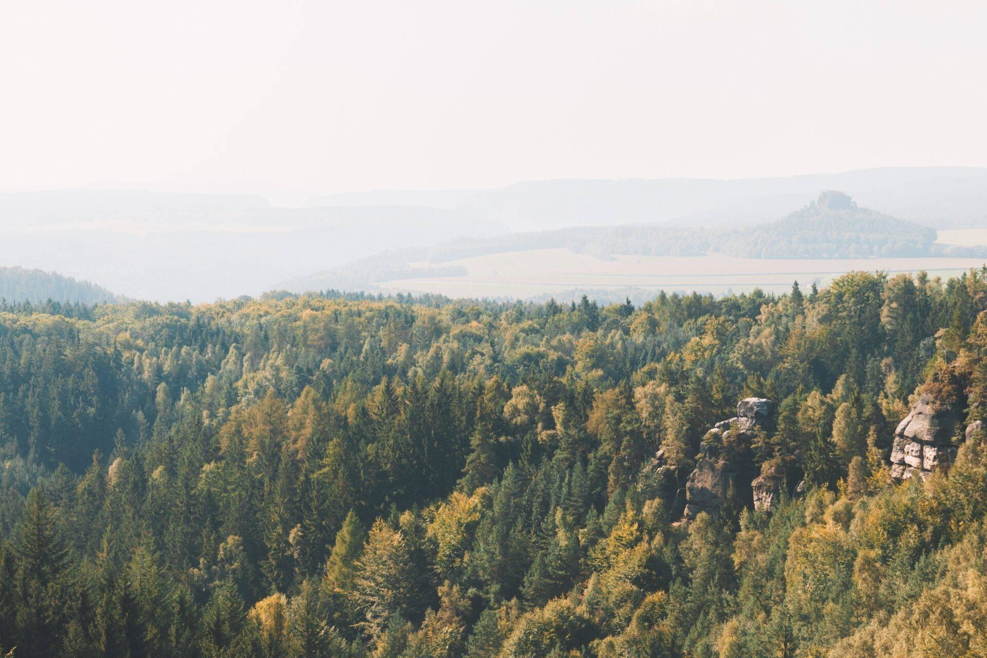 Vast conifer forest in autumn with rocky outcrops and agricultural plateaus visible in the background