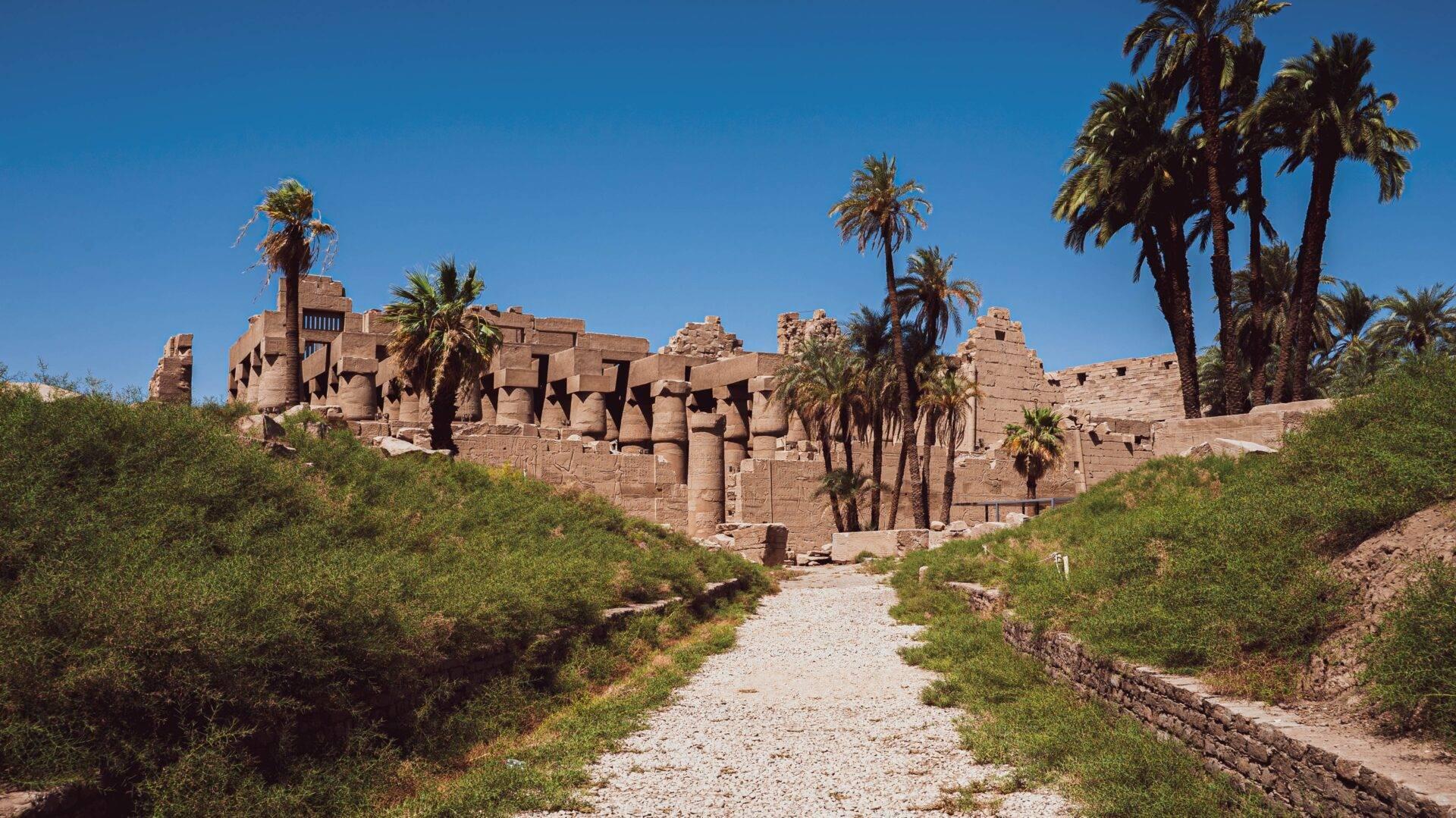 Ruins of an ancient Egyptian sandstone temple with massive columns and palm trees under a clear sky