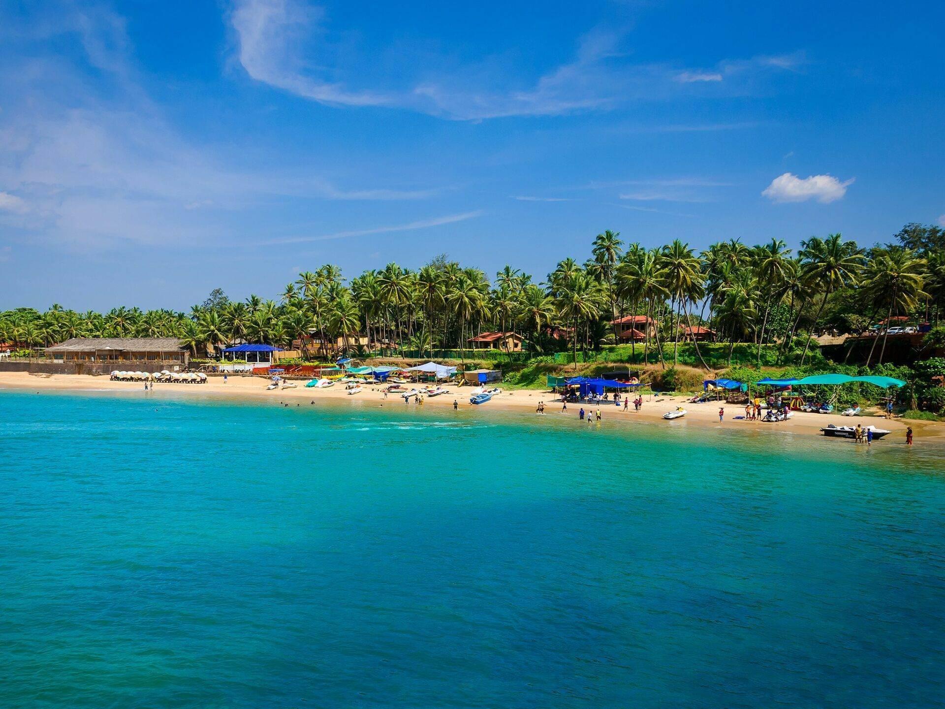 A tropical beach with white sand, turquoise water, palm trees and small blue shelters under a clear sky