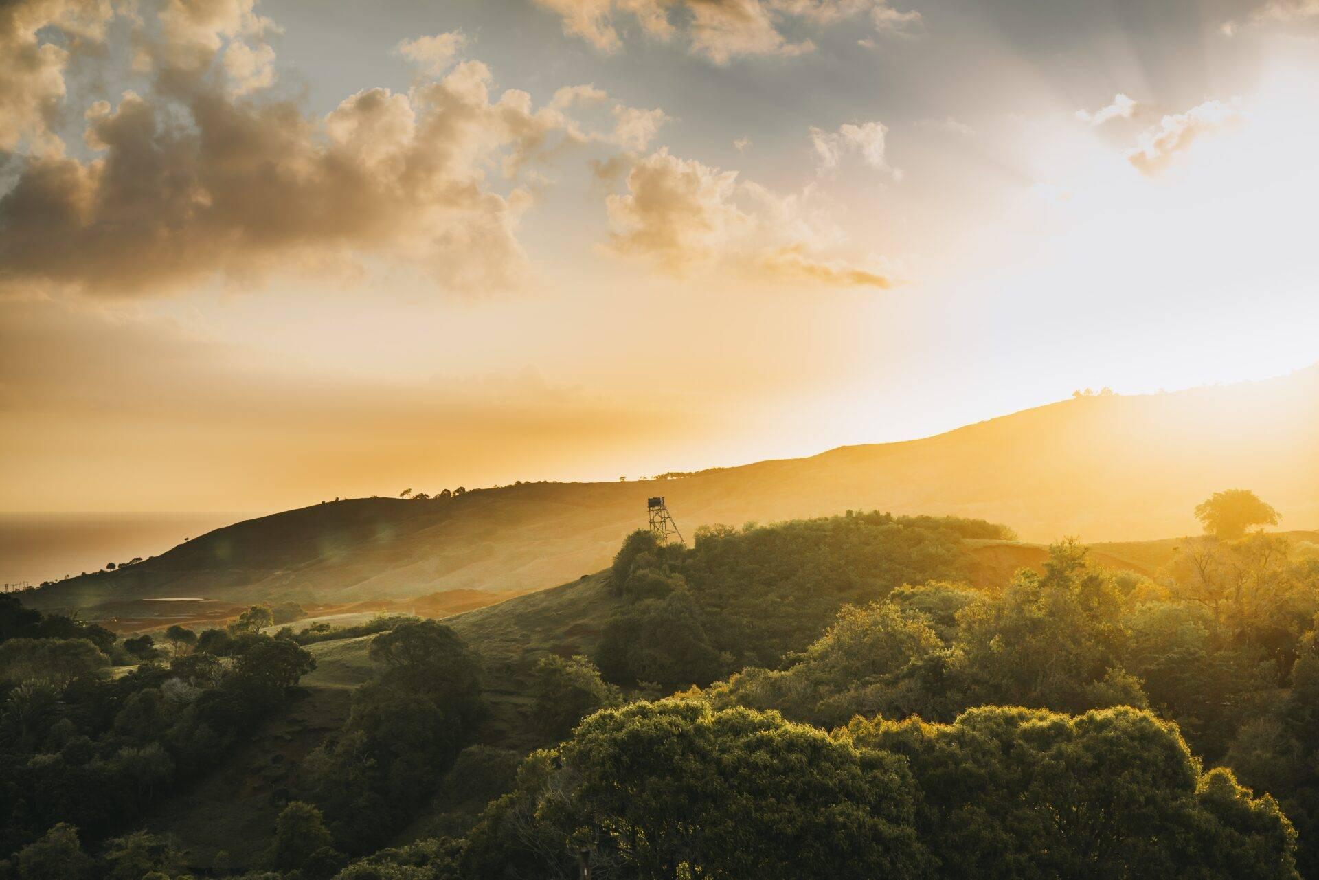 Paysage vallonné avec forêt dense, tour de guet et lumière dorée au coucher du soleil