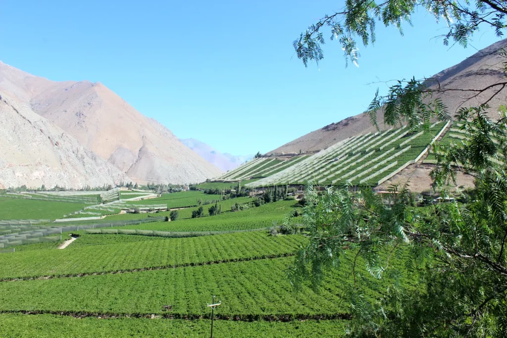 La vallée de l'Elqui